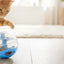 Catit Cat Treat Ball - Blue