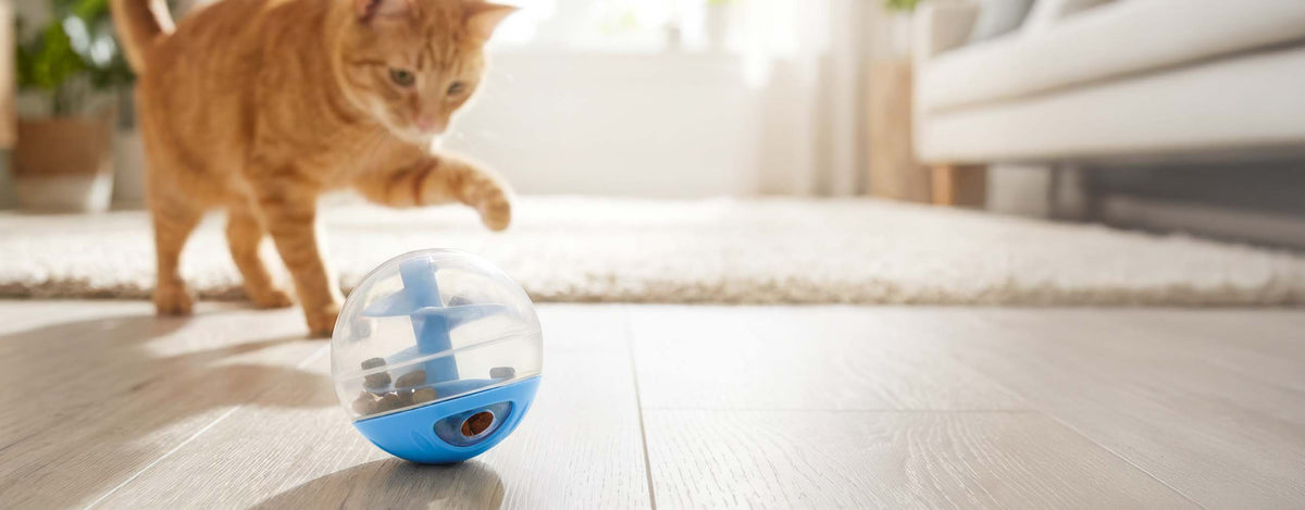 Catit Cat Treat Ball - Blue