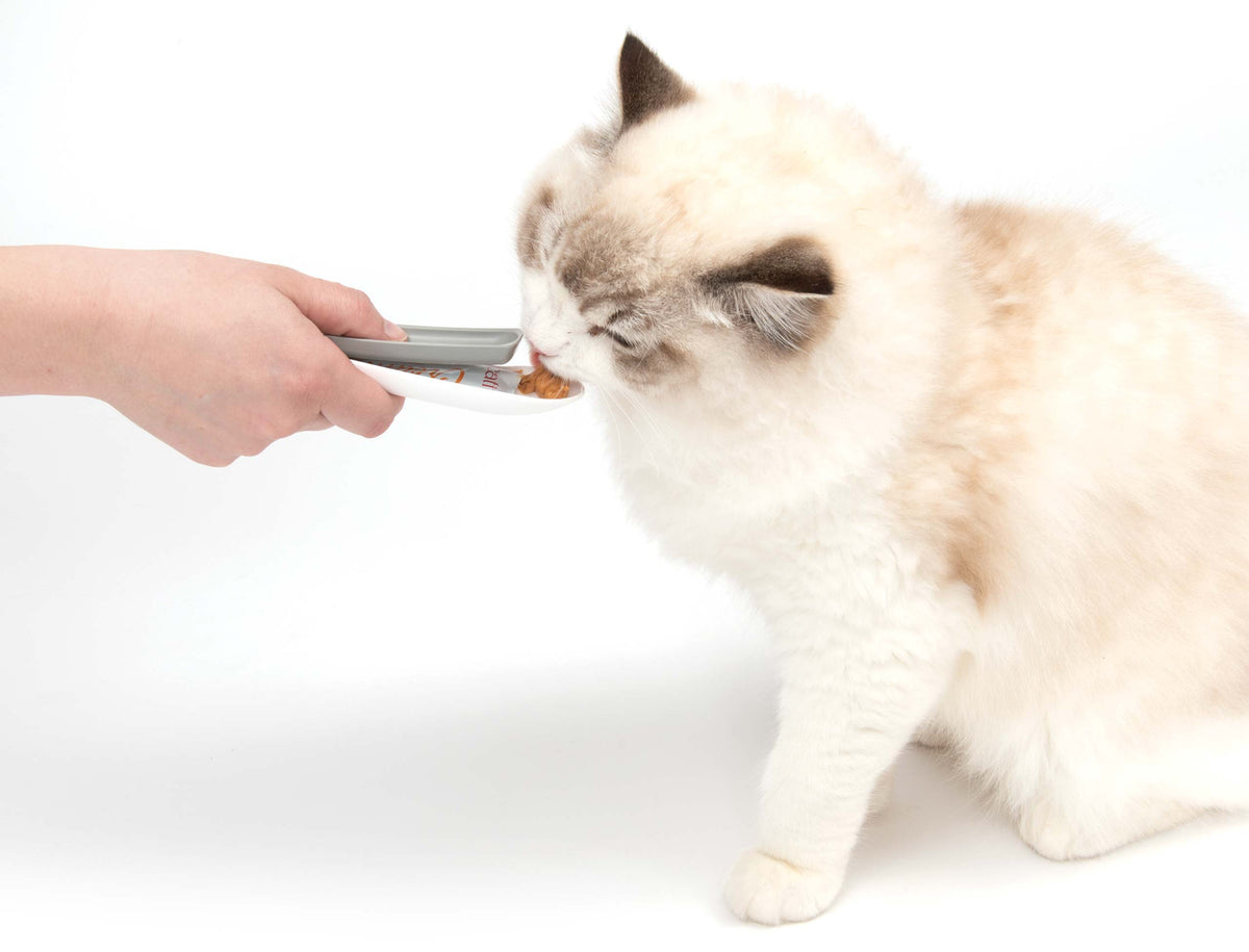 Catit Creamy Spoon