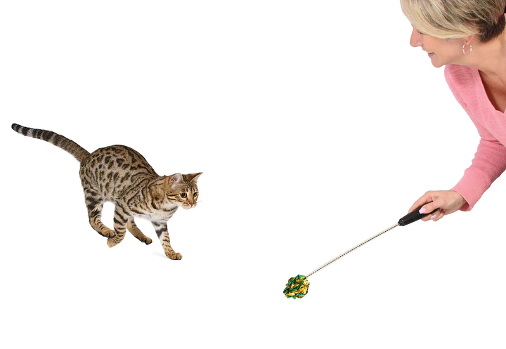 Adjustable String Wand Toy - Crinkle Balls