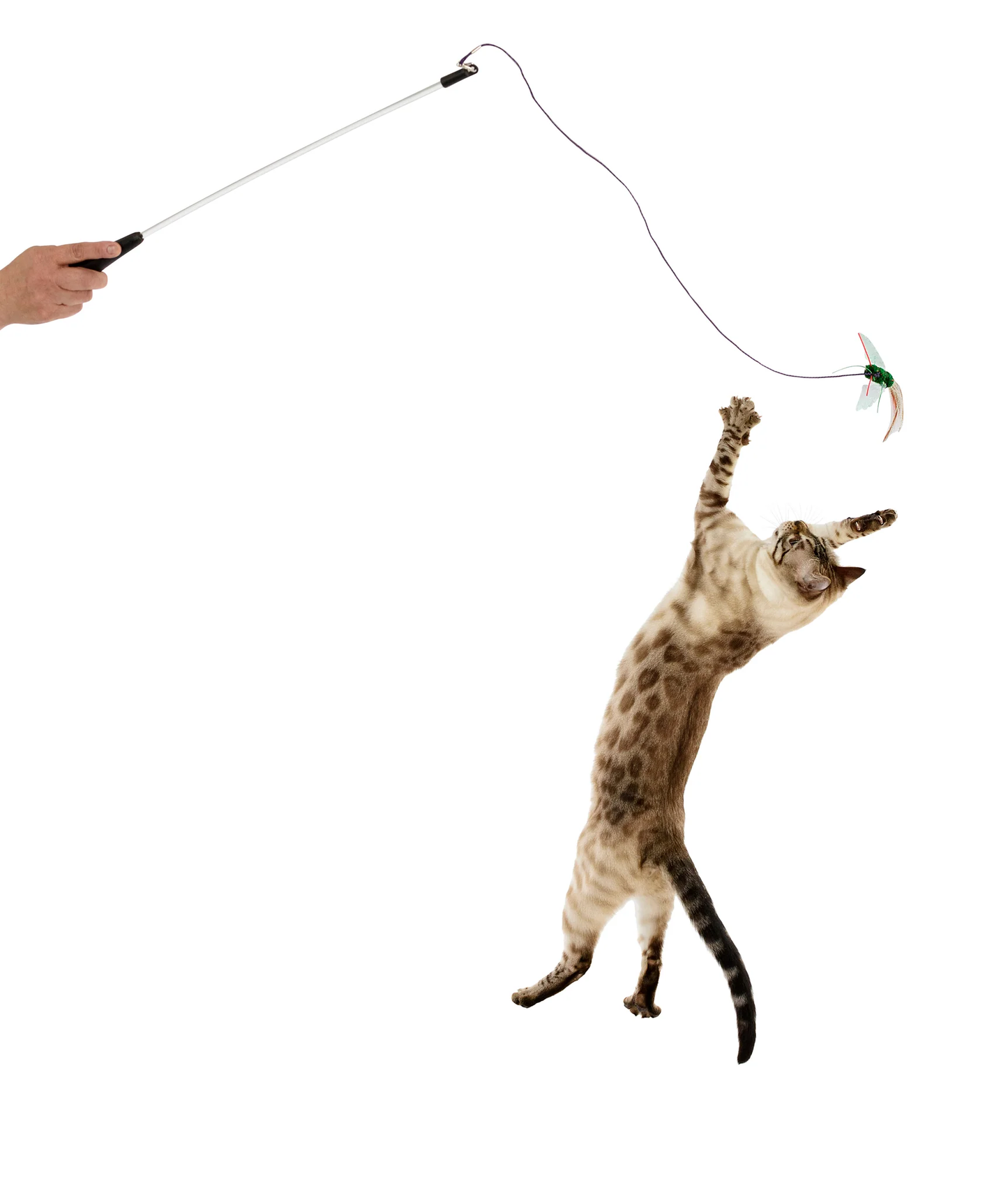 BugzBird Attachment!