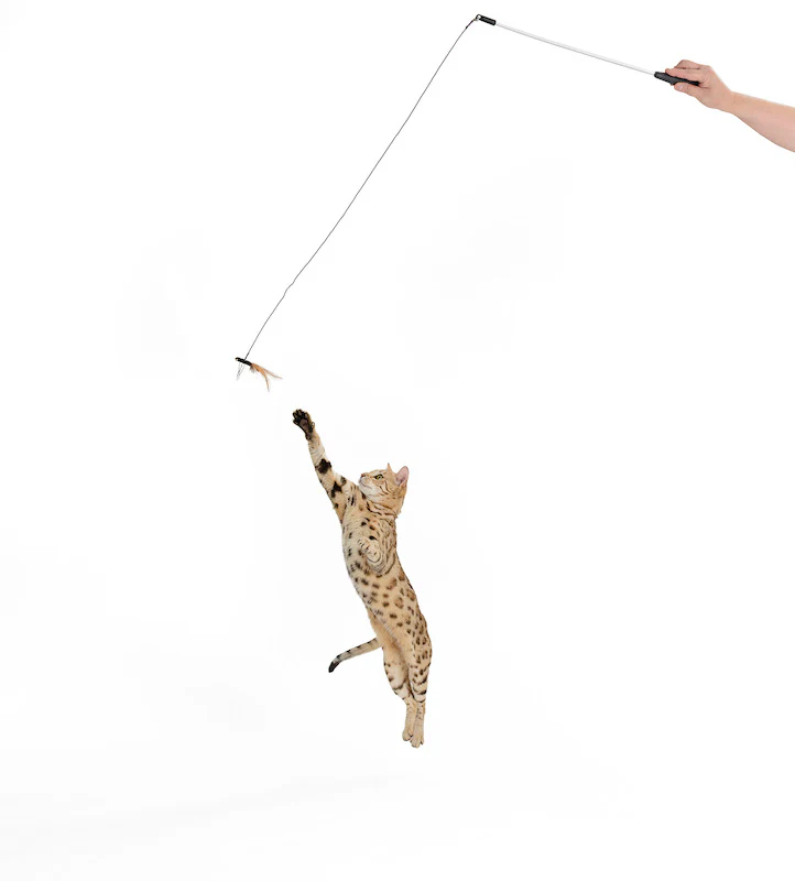 Cattikets Attachment!