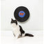 Meow Punk - Record Cat Scratcher