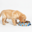 Ahoy There! - Easy Feeder Cat Bowl