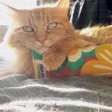 Refillable Snuggle Sticks