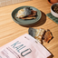 Dehydrated Salmon Skin