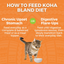 Cooked Cat Food - LID Bland Diet - Chicken & White Rice Recipe with Pumpkin - Adult