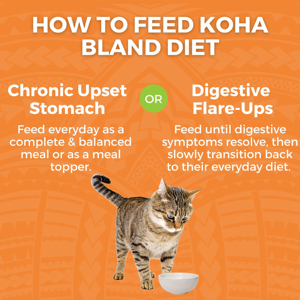 Cooked Cat Food - LID Bland Diet - Chicken & White Rice Recipe with Pumpkin - Adult