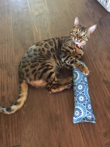 Refillable Snuggle Sticks