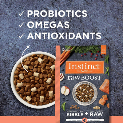 Raw Boost Grain Free Recipe with Real Salmon Dry Cat Food 4.5lb