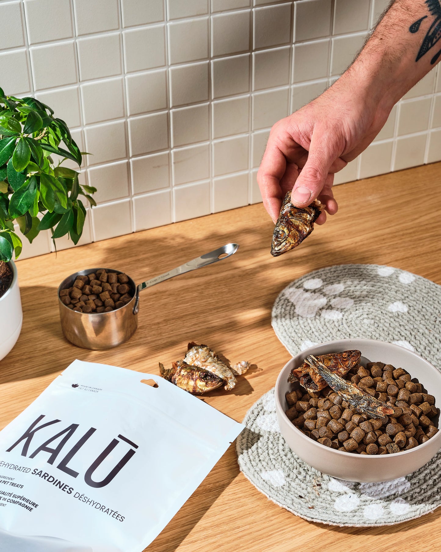 Kalū Dehydrated Sardines Treat