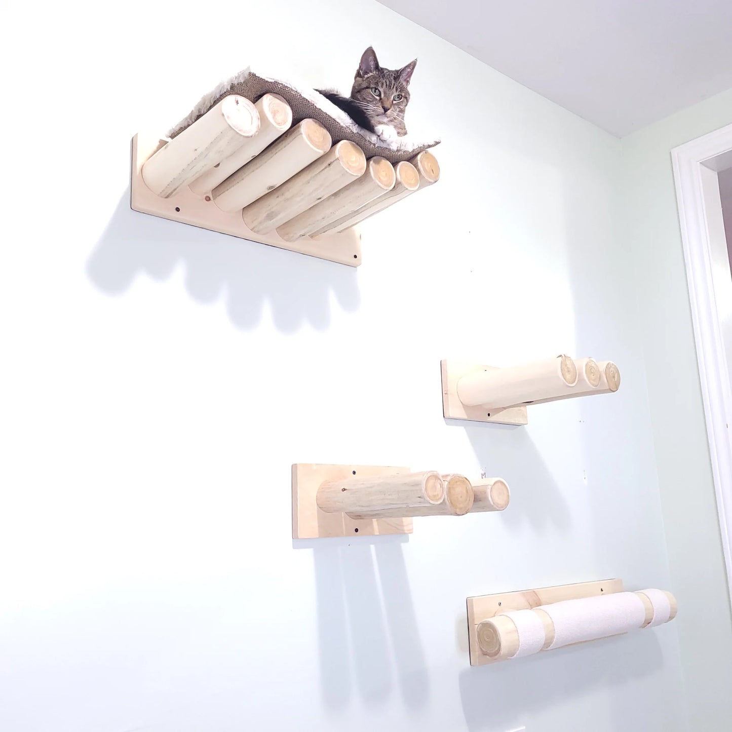 Natural Log Cat Bed - Wall Mounted