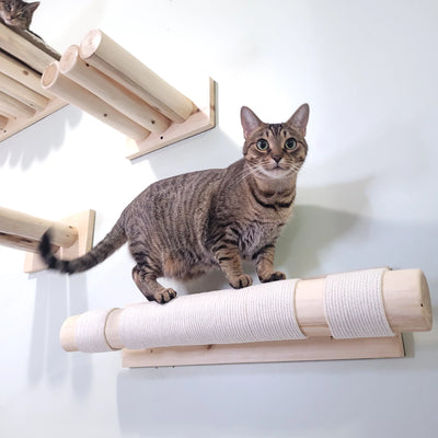 Natural Scratch Post - Wall Mounted