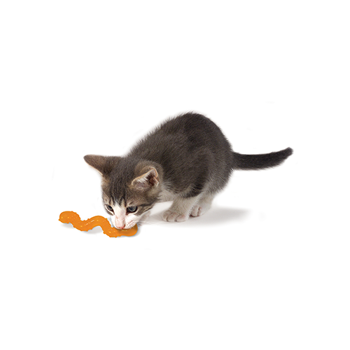 CATSTAGES® ORKAKAT CATNIP WIGGLE WORM INTERACTIVE CAT TOY