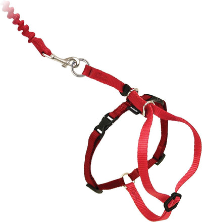 PetSafe Come With Me Kitty LARGE Harness And Bungee Leash