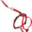 PetSafe Come With Me Kitty MEDIUM Harness And Bungee Leash