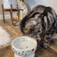 Raised Cat Water Bowl (Fuji Limited Edition)