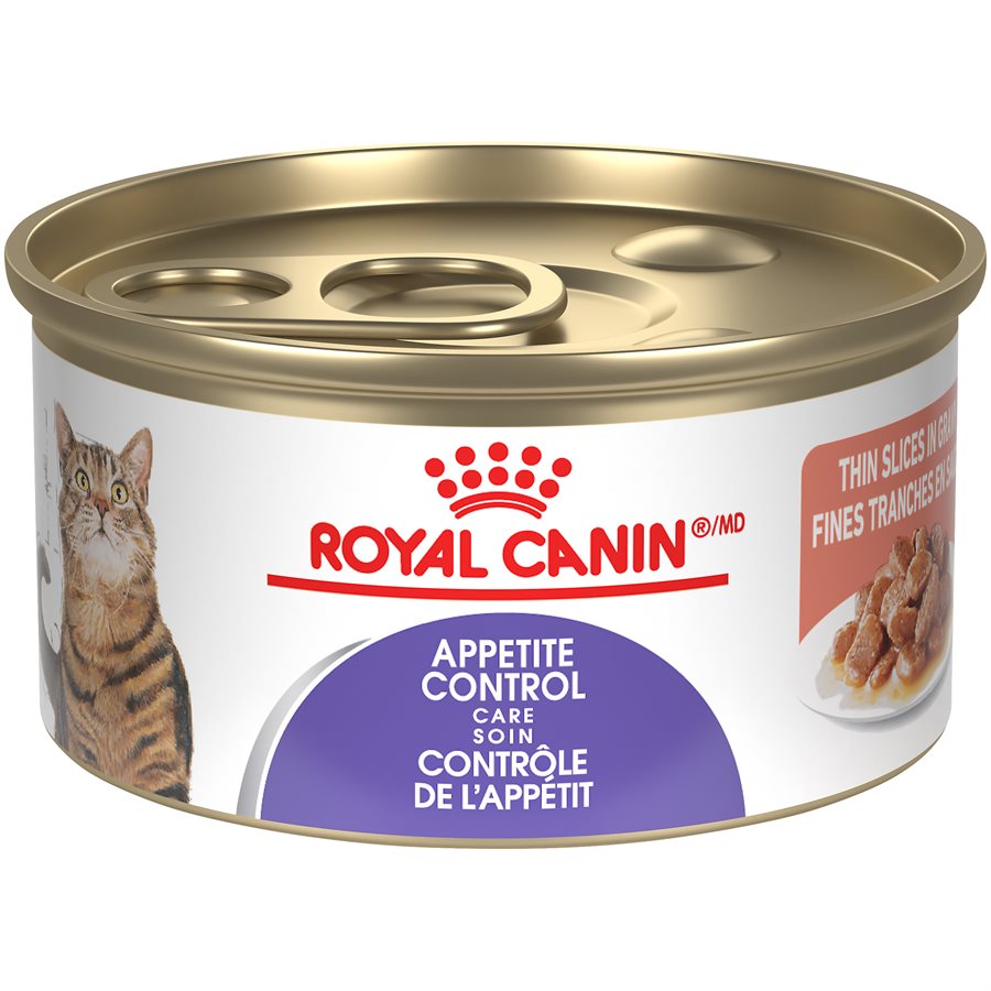 Royal Canin Feline Care Nutrition Appetite Control Care Loaf in Sauce Wet 3oz