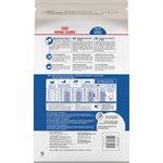 Royal Canin Feline Health Nutrition Indoor Long Hair Adult Cat Dry 6LBS