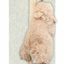 SKINNEEEZ Forest Creatures Cat Teaser Wand Assorted 12"