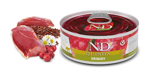 N&d quinoa urinary 2024 cat food reviews