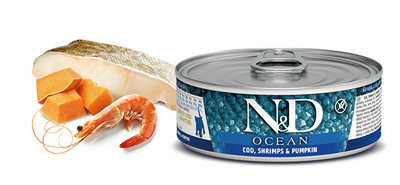 N&D Ocean - Cod, Shrimp & Pumpkin Recipe Wet Food Kitten 2.5oz