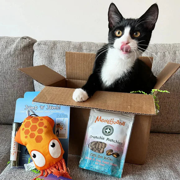 Meowijuana Door Jump n Jamb Squid