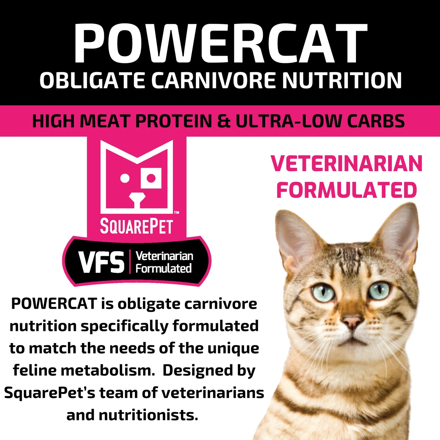 VFS® POWERCAT™ Herring & Salmon for Cats