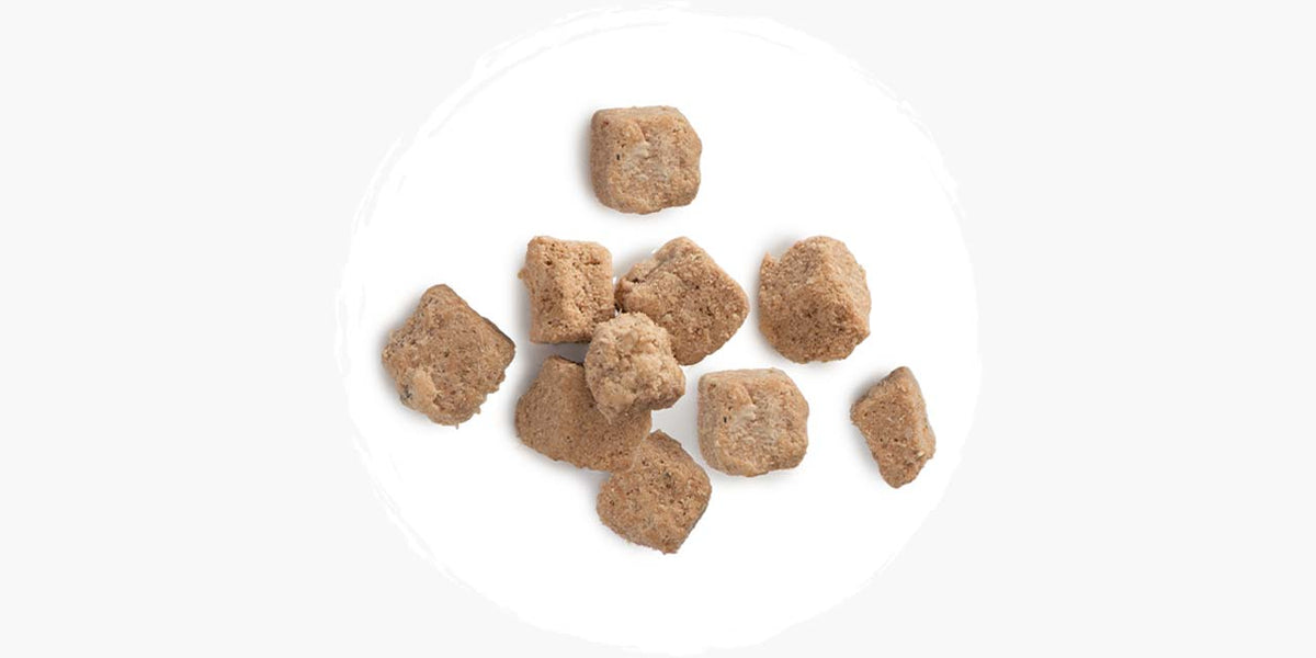 Catit Recipes Freeze-Dried Raw Cat Food - Chicken - 226 g
