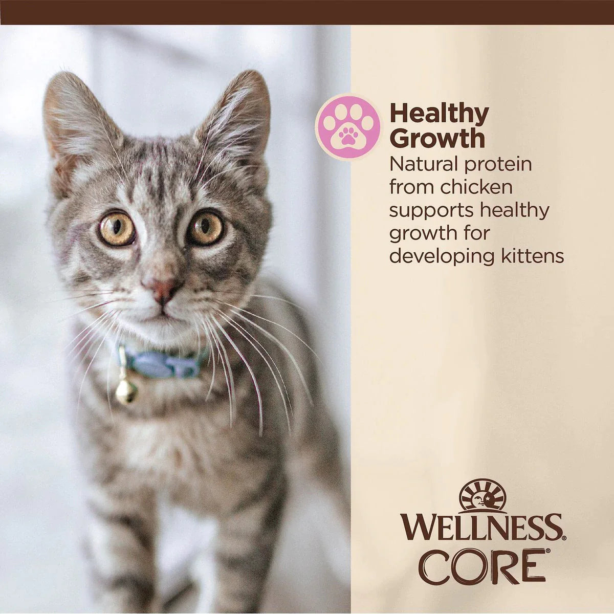 WELLNESS Core Tiny Tasters KITTEN PÂTÉ Chicken Recipe in Sauce Wet Cat Food 1.75 OZ