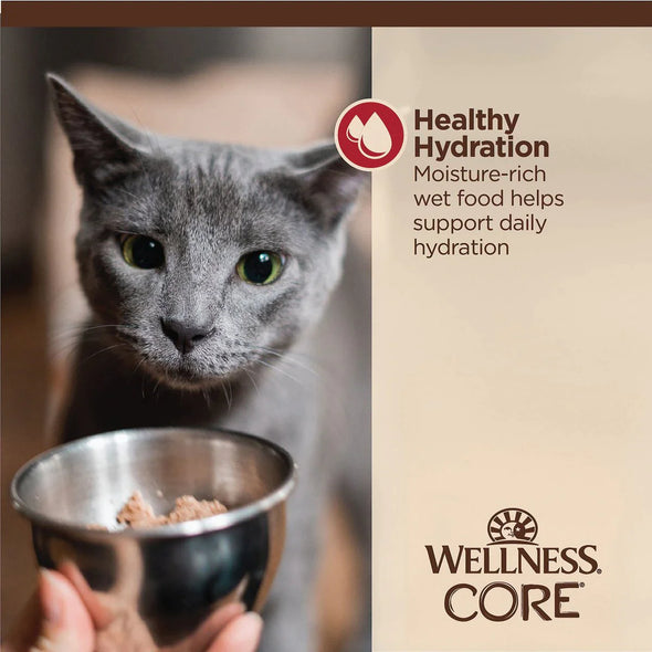 WELLNESS Core Tiny Tasters MINCED Chicken & Beef Recipe in Gravy Wet Cat Food 1.75 OZ