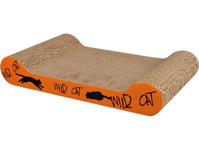 Wild Cat Scratching Cardboard