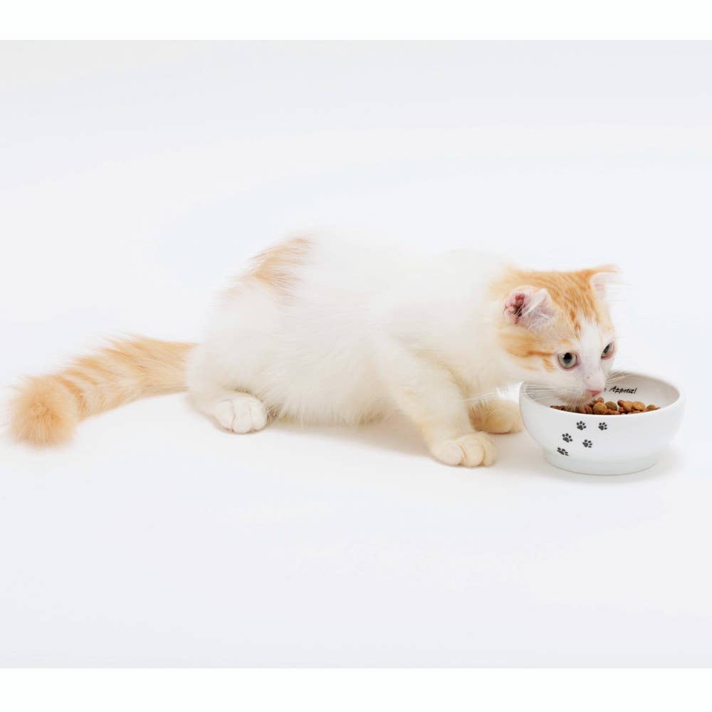 Anti-Spill Cat Food Bowl (Cat)