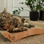 Premium Comfort Reversible Cat Bed Large (Oak)