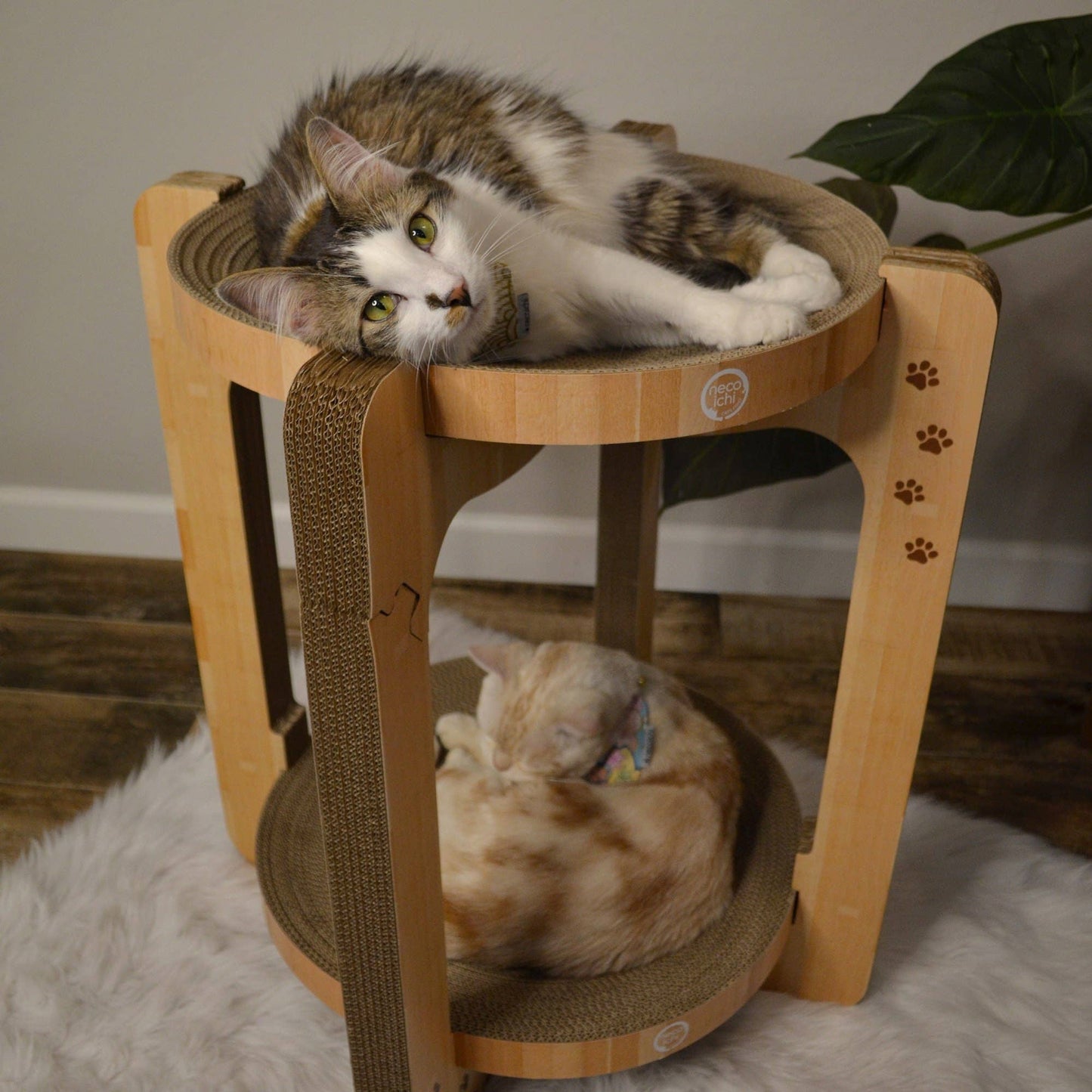 Cozy Cat Scratcher Tower XL (Oak)