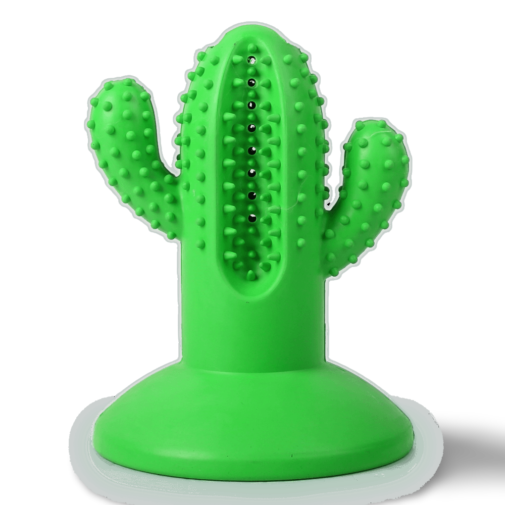 ALL FOR PAWS Dental Chews Cactus