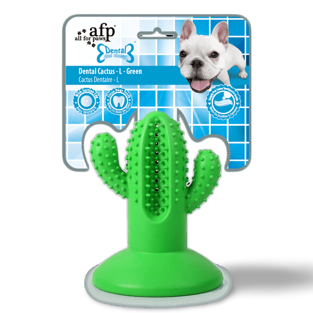 ALL FOR PAWS Dental Chews Cactus
