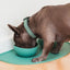 FuzzYard Life Silicone Feeding Mat - Myrtle Green