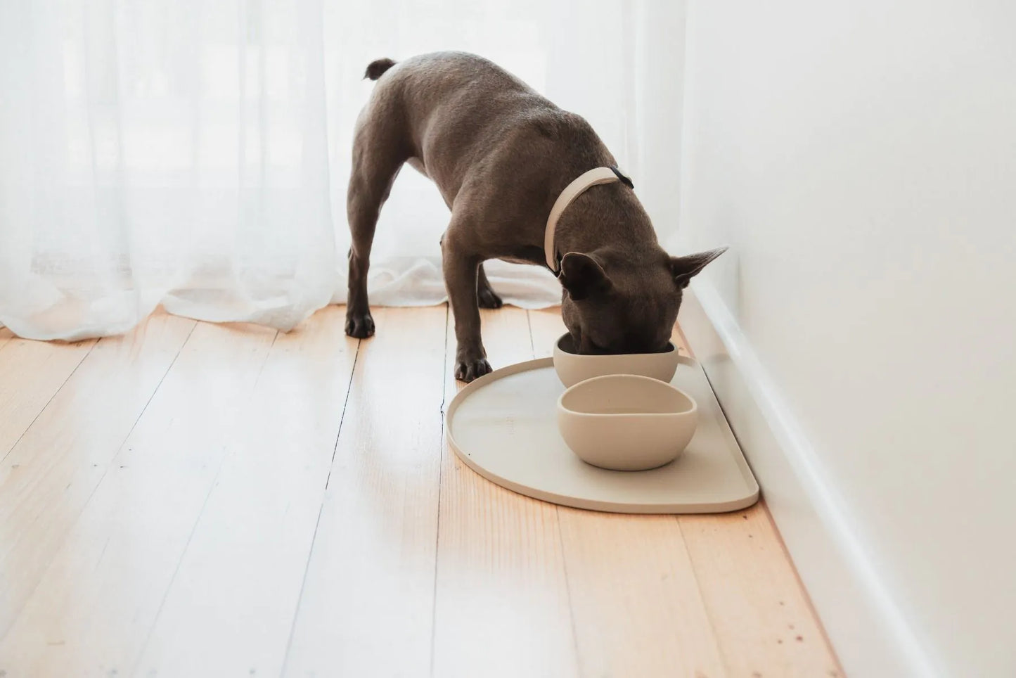 FuzzYard Life - Silicone Feeding Mat - Sandstone