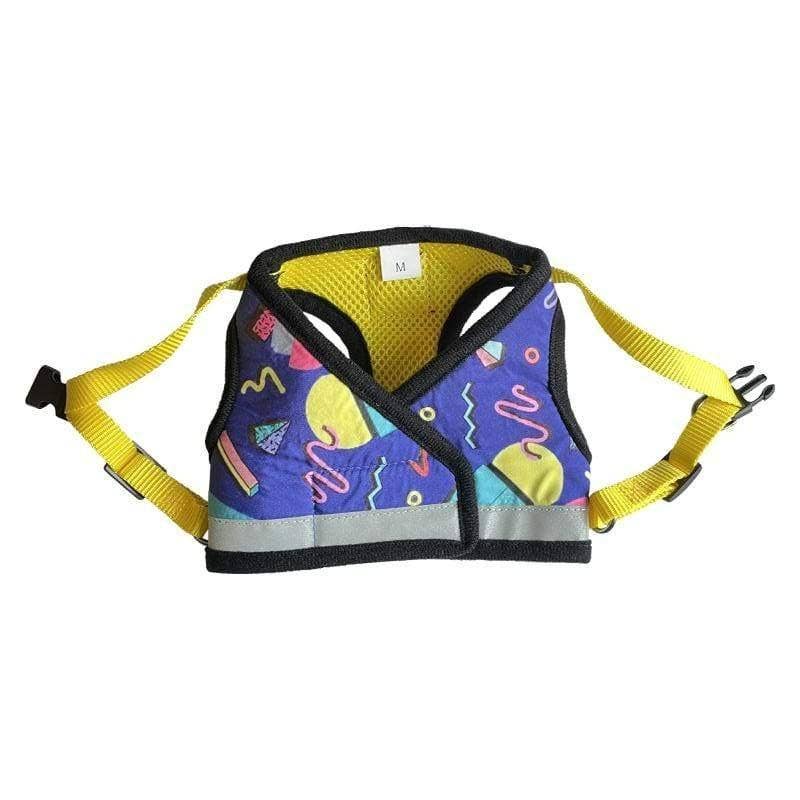 "The 90s Cat" Limited-Edition Harness & Leash Set