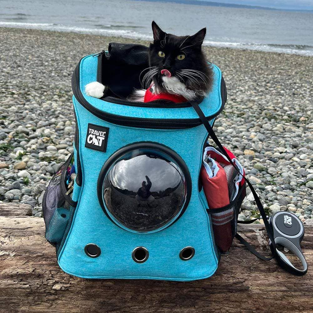 “The Fat Cat” Cat Backpack in Aqua