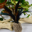 Caribou Hide & Rooster Feather Rod Attachment