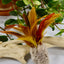 Caribou Hide & Rooster Feather Rod Attachment