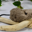 Caribou Hide Rattle Mouse