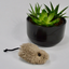 Caribou Hide Rattle Mouse