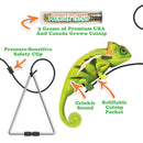 Meowijuana Door Jump n Jamb Chameleon