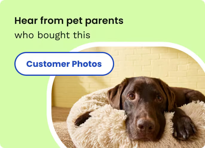 ALL FOR PAWS Pet Salon LED Nail Clipper