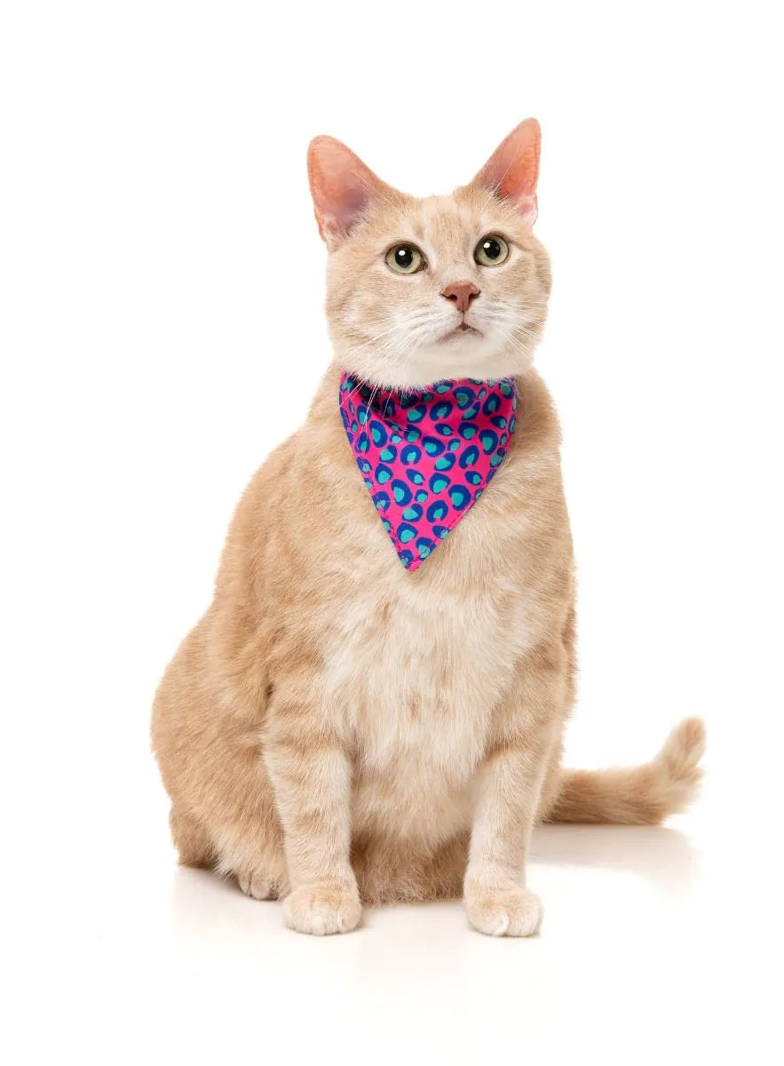 Wild One Bubblegum - Cat Fashion Pack