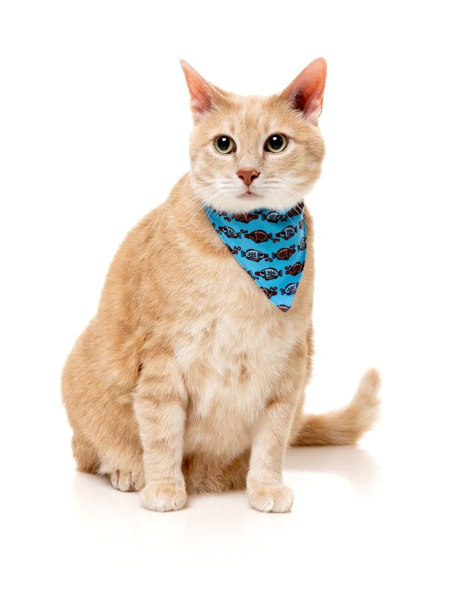 Soy Sauce Fish - Cat Fashion Pack