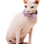 Meowcarons - Cat Fashion Pack